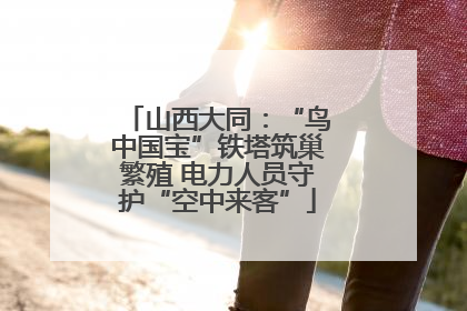 山西大同：“鸟中国宝”铁塔筑巢繁殖 电力人员守护“空中来客”