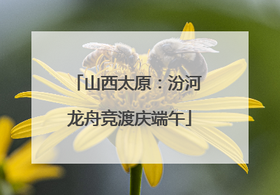 山西太原：汾河龙舟竞渡庆端午