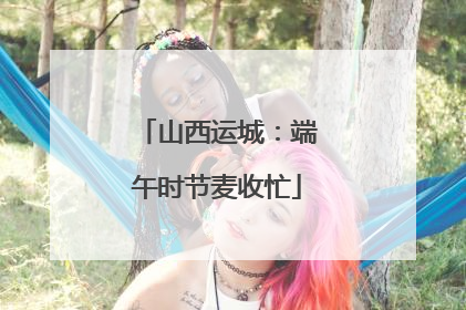 山西运城：端午时节麦收忙