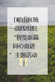崂山区统一战线组织“智览新篇 同心奋进”主题活动