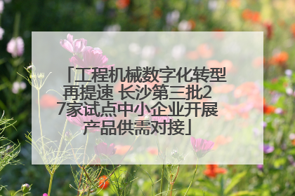 工程机械数字化转型再提速 长沙第三批27家试点中小企业开展产品供需对接