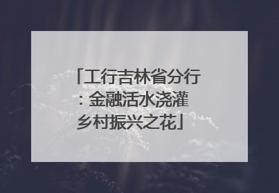 工行吉林省分行：金融活水浇灌 乡村振兴之花