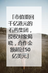 市值重回千亿港元的石药集团，授权对象揭晓，合作金额超过50亿美元