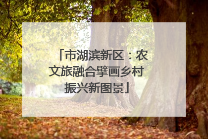 市湖滨新区：农文旅融合擘画乡村振兴新图景
