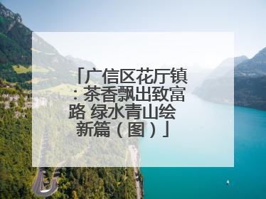 广信区花厅镇：茶香飘出致富路 绿水青山绘新篇（图）