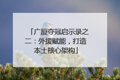 广厦夺冠启示录之二：外援赋能，打造本土核心架构