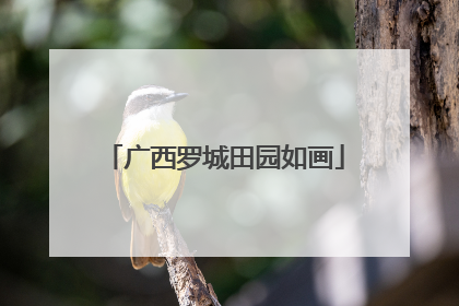 广西罗城田园如画