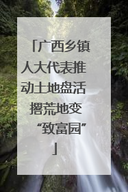 广西乡镇人大代表推动土地盘活 撂荒地变“致富园”