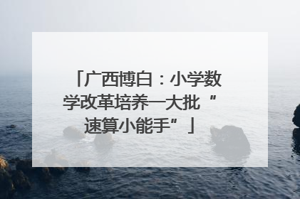广西博白：小学数学改革培养一大批“速算小能手”