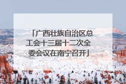 广西壮族自治区总工会十三届十二次全委会议在南宁召开