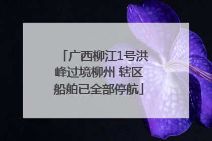 广西柳江1号洪峰过境柳州 辖区船舶已全部停航