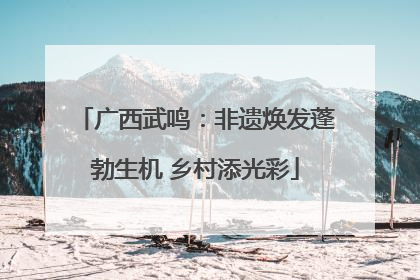 广西武鸣：非遗焕发蓬勃生机 乡村添光彩