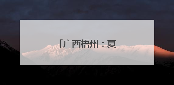 广西梧州：夏日赏荷正当时