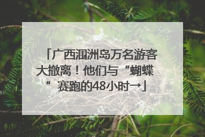 广西涠洲岛万名游客大撤离！他们与“蝴蝶”赛跑的48小时→