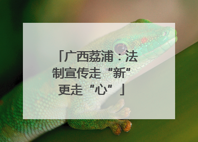 广西荔浦：法制宣传走“新”更走“心”