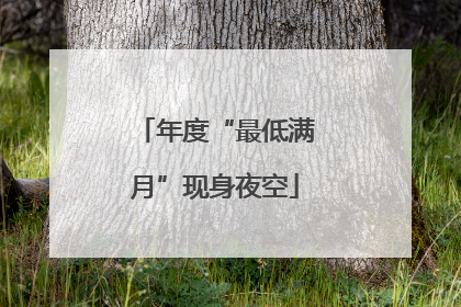 年度“最低满月”现身夜空