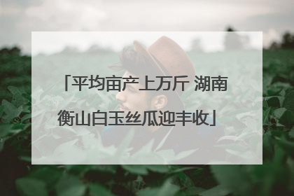 平均亩产上万斤 湖南衡山白玉丝瓜迎丰收