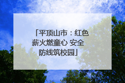 平顶山市：红色薪火燃童心 安全防线筑校园