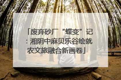废弃砂厂“蝶变”记：湘阴中麻贝乐谷绘就农文旅融合新画卷