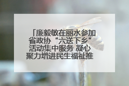 廉毅敏在丽水参加省政协“六送下乡”活动集中服务 凝心聚力增进民生福祉推进共同富裕