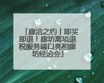 廊洽之约丨即买即退！廊坊离境退税服务端口亮相廊坊经洽会