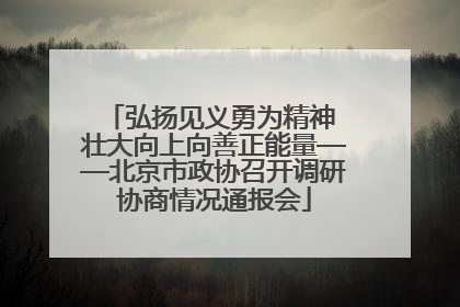 弘扬见义勇为精神 壮大向上向善正能量——北京市政协召开调研协商情况通报会