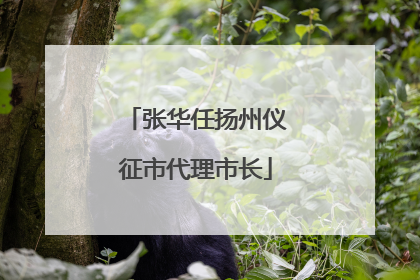 张华任扬州仪征市代理市长