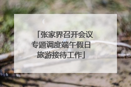 张家界召开会议专题调度端午假日旅游接待工作