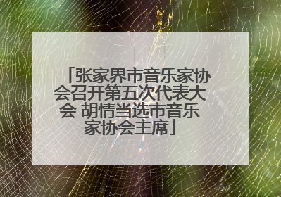 张家界市音乐家协会召开第五次代表大会 胡情当选市音乐家协会主席