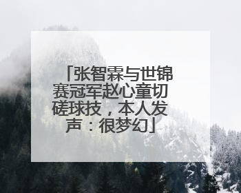 张智霖与世锦赛冠军赵心童切磋球技，本人发声：很梦幻