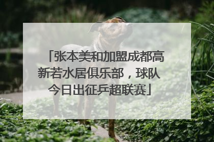 张本美和加盟成都高新若水居俱乐部，球队今日出征乒超联赛