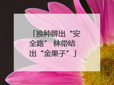 换种辟出“安全路” 林带结出“金果子”