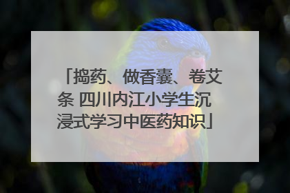 捣药、做香囊、卷艾条 四川内江小学生沉浸式学习中医药知识