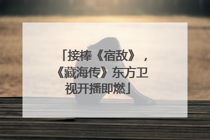 接棒《宿敌》，《藏海传》东方卫视开播即燃