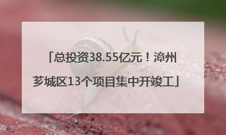 总投资38.55亿元！漳州芗城区13个项目集中开竣工