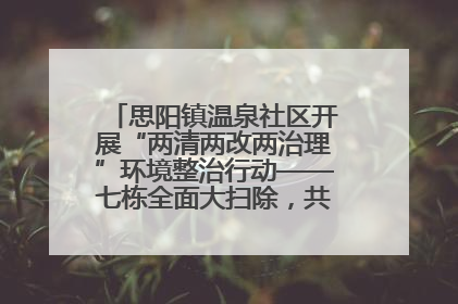 思阳镇温泉社区开展“两清两改两治理”环境整治行动——七栋全面大扫除，共建洁净家园