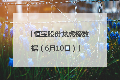 恒宝股份龙虎榜数据（6月10日）