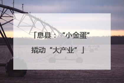 息县：“小金蛋”撬动“大产业”