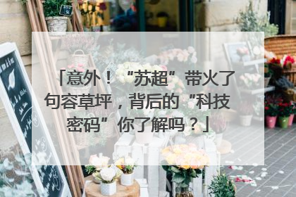 意外！“苏超”带火了句容草坪，背后的“科技密码”你了解吗？