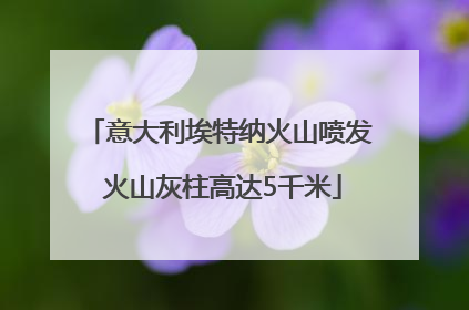 意大利埃特纳火山喷发 火山灰柱高达5千米