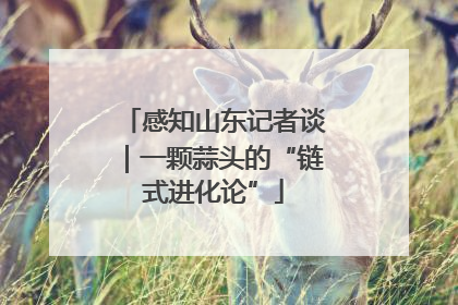 感知山东记者谈｜一颗蒜头的“链式进化论”
