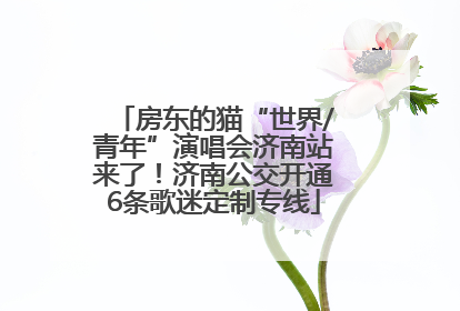 房东的猫“世界/青年”演唱会济南站来了！济南公交开通6条歌迷定制专线