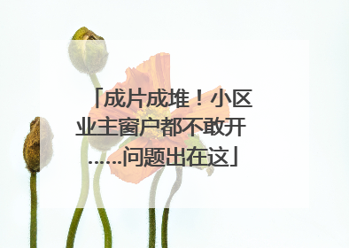成片成堆！小区业主窗户都不敢开……问题出在这