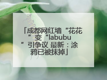 成都网红墙“花花”变“labubu”引争议 最新：涂鸦已被抹掉