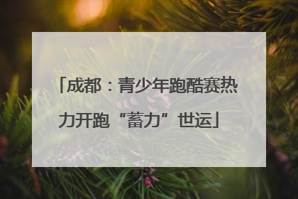 成都：青少年跑酷赛热力开跑“蓄力”世运