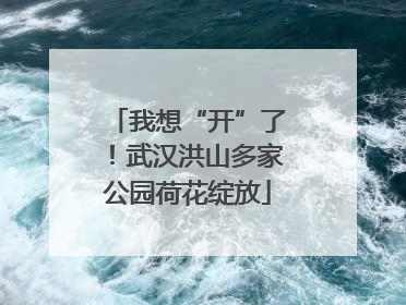 我想“开”了！武汉洪山多家公园荷花绽放