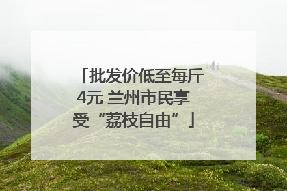 批发价低至每斤4元 兰州市民享受“荔枝自由”