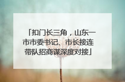扣门长三角，山东一市市委书记、市长接连带队招商谋深度对接