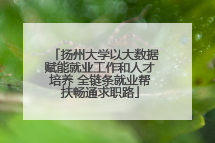 扬州大学以大数据赋能就业工作和人才培养 全链条就业帮扶畅通求职路