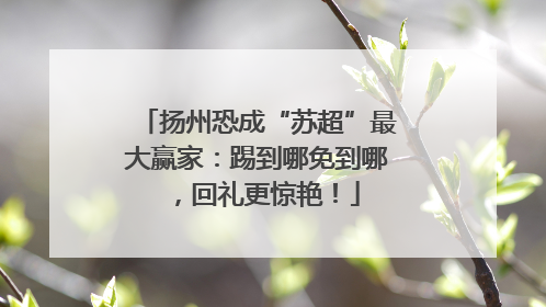 扬州恐成“苏超”最大赢家：踢到哪免到哪，回礼更惊艳！